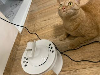 행복한쥐님님이 올린 리뷰 사진 1
