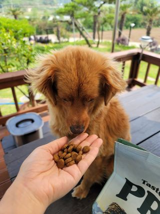 아로님이 올린 리뷰 사진 2