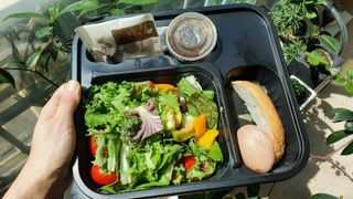 참살이도시락 작심삼일 샐러드도시락 3개 맛보기 새벽배송 또는 택배배송 — 5점을 준 리뷰어가 2021년 9월 올린 사용 사진