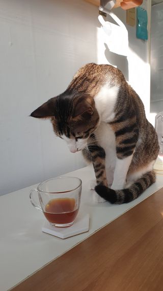 둘둘이님이 올린 리뷰 사진 3