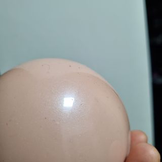 달코낭님이 올린 리뷰 사진 3
