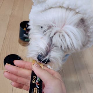 기언니님이 올린 리뷰 사진 2