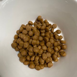 HanaCha님이 올린 리뷰 사진 2