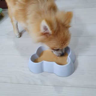 양용언님이 올린 리뷰 사진 3