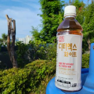 핑크고래님이 올린 리뷰 사진 3