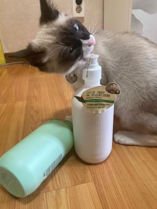 잇슈님이 올린 리뷰 사진 1