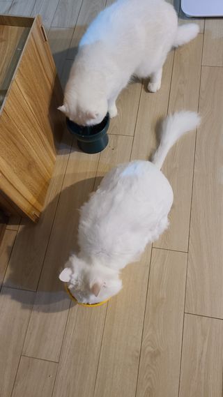 논지님이 올린 리뷰 사진 3
