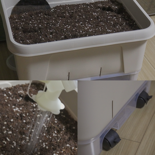 푸르링세화님이 올린 리뷰 사진 1