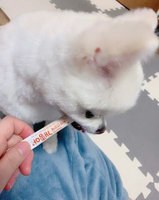 My Pet Care 모발과 모질 피부건강에 개좋아 — 5점을 준 리뷰어가 2021년 1월 올린 사용 사진