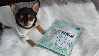 My Pet Care 천연단백질 눈건강에 개좋아 — 5점을 준 리뷰어가 2021년 1월 올린 사용 사진