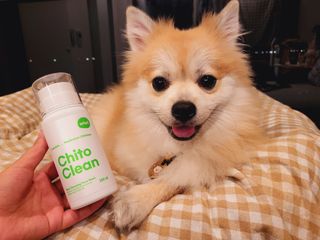 whol 키토클린 200ml - 항균항바이러스 강아지 눈 코 입 귀 세정탈취 고양이 턱드름제거 무향 워터리스 대용량 — 5점을 준 리뷰어가 2022년 10월 올린 사용 사진