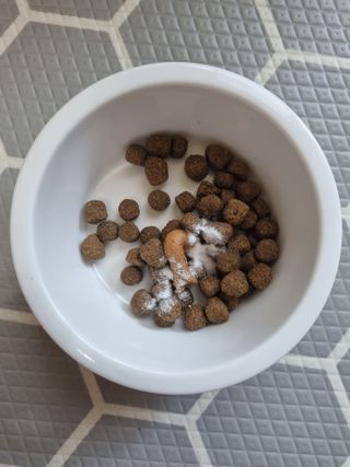 진쓰님이 올린 리뷰 사진 4