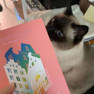 부우기님이 올린 리뷰 사진 1