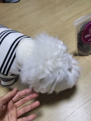 Zenithhappy님이 올린 리뷰 사진 4