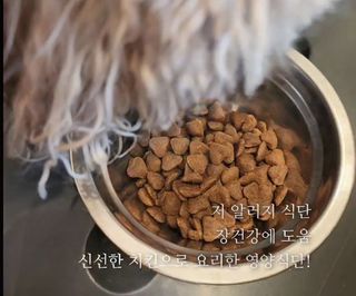 사랑해안시영님이 올린 리뷰 사진 1