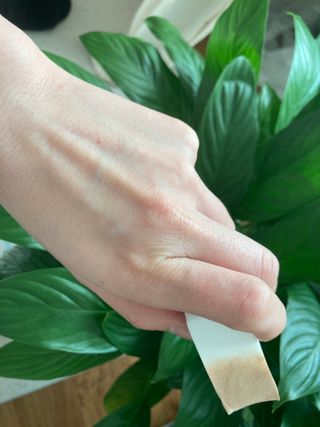 experiencer님이 올린 리뷰 사진 2