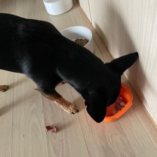 박소미님이 올린 리뷰 사진 3