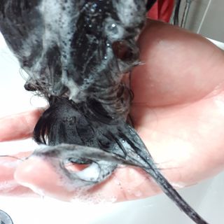 썸헤어 / SUMHAIR 썸헤어 데미지 클리닉 샴푸+트리트먼트 네롤리&민트티 — 5점을 준 리뷰어가 2021년 6월 올린 사용 사진