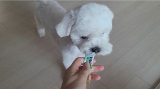 쏘이님이 올린 리뷰 사진 3
