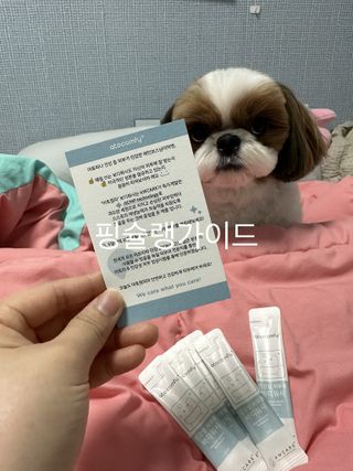 박코끼리님이 올린 리뷰 사진 4