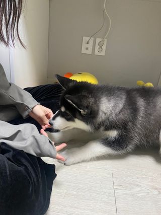 진현선님이 올린 리뷰 사진 3