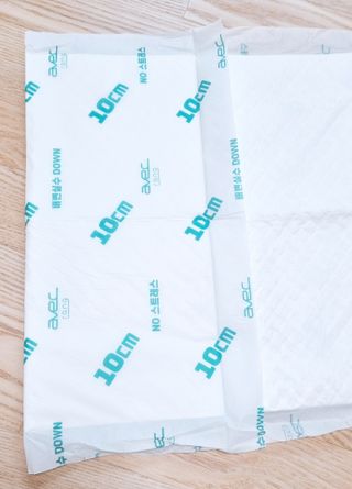 아베크 펫 와이드 프리미엄 중형 애견 강아지 배변 패드 54매 1팩 45g — 5점을 준 리뷰어가 2021년 7월 올린 사용 사진