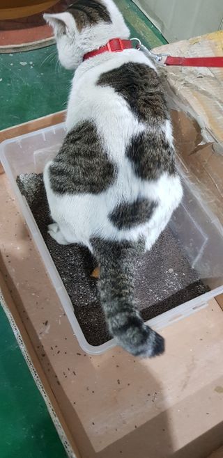 지늬님이 올린 리뷰 사진 3