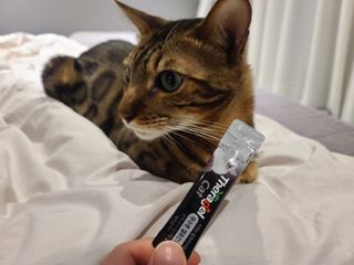 피동이님이 올린 리뷰 사진 3