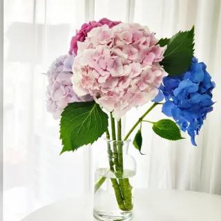 chu님이 올린 리뷰 사진 1