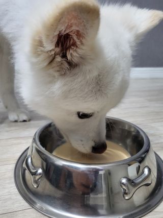 kay님이 올린 리뷰 사진 1