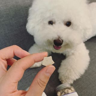 정민트님이 올린 리뷰 사진 1
