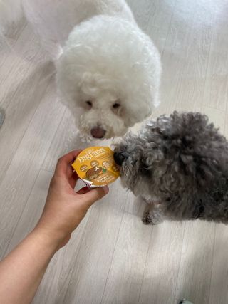 갱스님이 올린 리뷰 사진 3