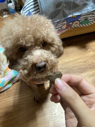 민트초코님이 올린 리뷰 사진 4