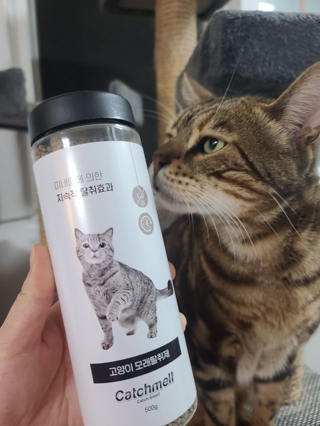 고양이 모래 탈취제 캐치멜 리뷰 사진