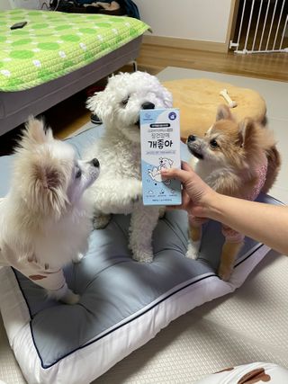 율아님이 올린 리뷰 사진 1