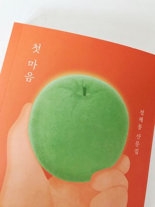 꽁쓰꽁쓰님이 올린 리뷰 사진 2