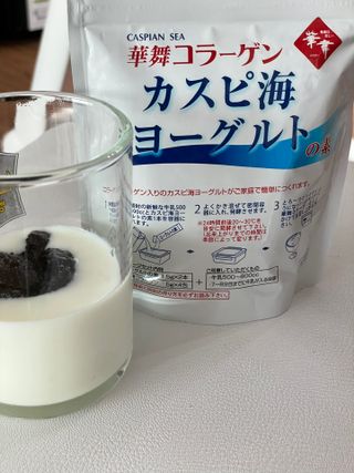 하나마이 [BEST 판매율 1위] 카스피해 유산균 종균_발효기가 필요없이 간편하게 만들어 먹는 요거트 생유산균 — 5점을 준 리뷰어가 2023년 3월 올린 사용 사진