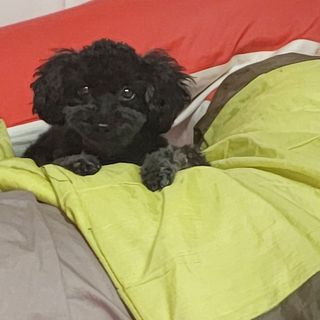 쓔리님이 올린 리뷰 사진 3