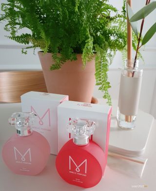 자연스러운 샴푸향이 나는 메블릭퍼퓸 케라 50ml +상큼달달한 라즈베리향이 나는 메블릭퍼퓸 라즈베리 50ml — 5점을 준 리뷰어가 2022년 9월 올린 사용 사진