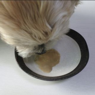 쮸동비님이 올린 리뷰 사진 3