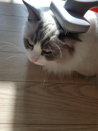 로크찡님이 올린 리뷰 사진 3