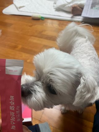필리브 비주얼 브이스틱 — 5점을 준 리뷰어가 2021년 6월 올린 사용 사진