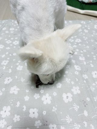 름님이 올린 리뷰 사진 4