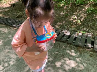 WagleBagle [티파하파] 숲체험 곤충채집 세트(4종) — 5점을 준 리뷰어가 2022년 5월 올린 사용 사진