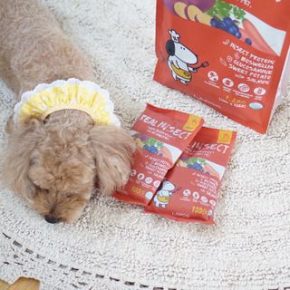 [푸디웜] 라포그  리얼인섹트 관절 저알러지 강아지 사료  1.2KG — 5점을 준 리뷰어가 2022년 8월 올린 사용 사진