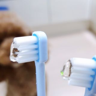 벼리님이 올린 리뷰 사진 3