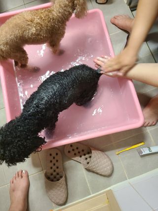 잠주부옥님이 올린 리뷰 사진 4