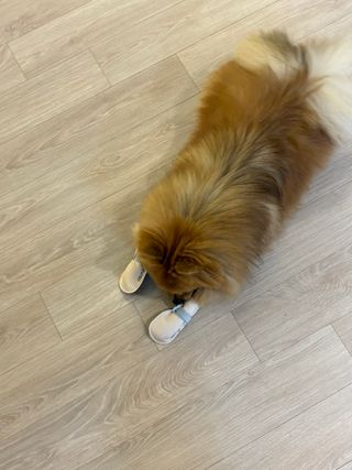 다영님이 올린 리뷰 사진 3