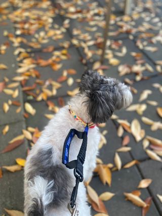 클로버님이 올린 리뷰 사진 3