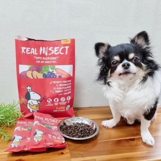 빵갱님이 올린 리뷰 사진 2